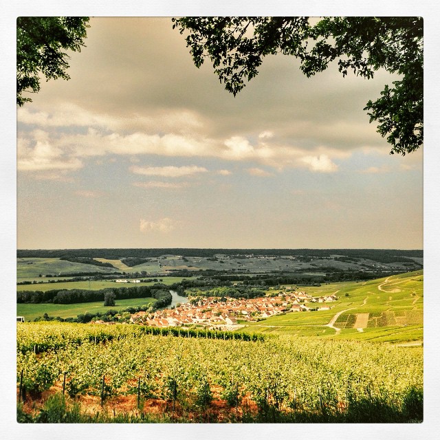 Vue sur le village de Cumières