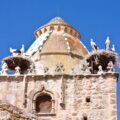 Storks in their nests on top of a building in Trujillo in Extremadura with blue sky