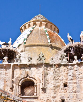 Storks in their nests on top of a building in Trujillo in Extremadura with blue sky