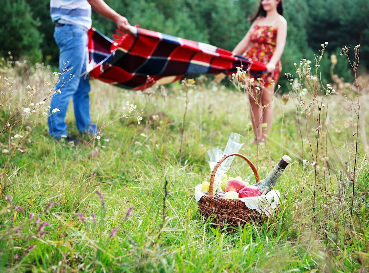 Pique nique ©131900846 shutterstock