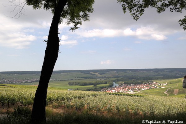 Vue sur le village de Cumières depuis Hautvillers - Champagne