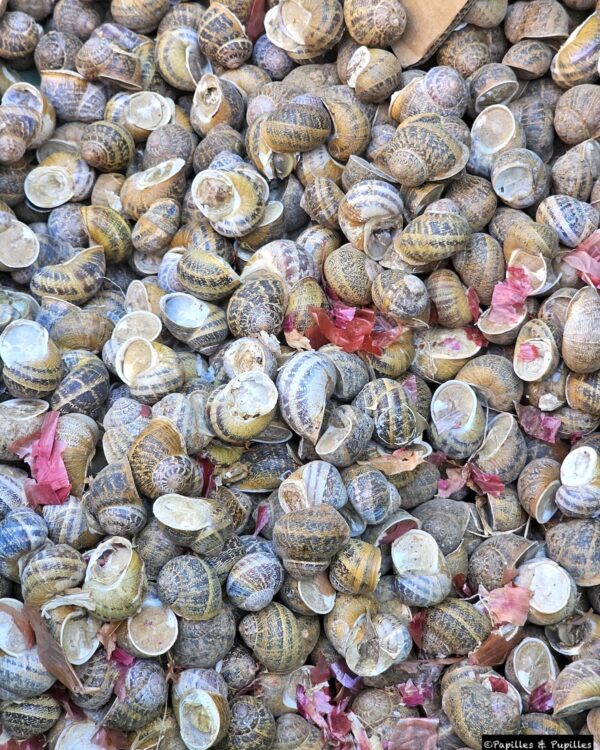 Escargots