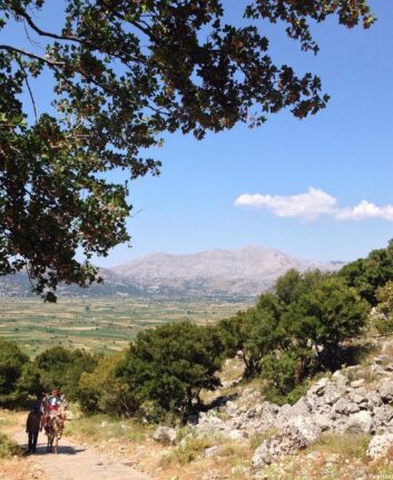 Plateau du Lassithi
