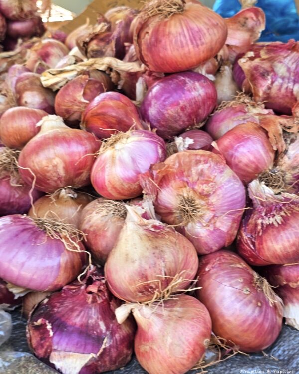 Oignons rouges