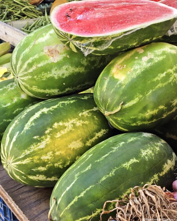 Pastèques