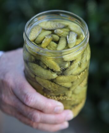 Cornichons maison