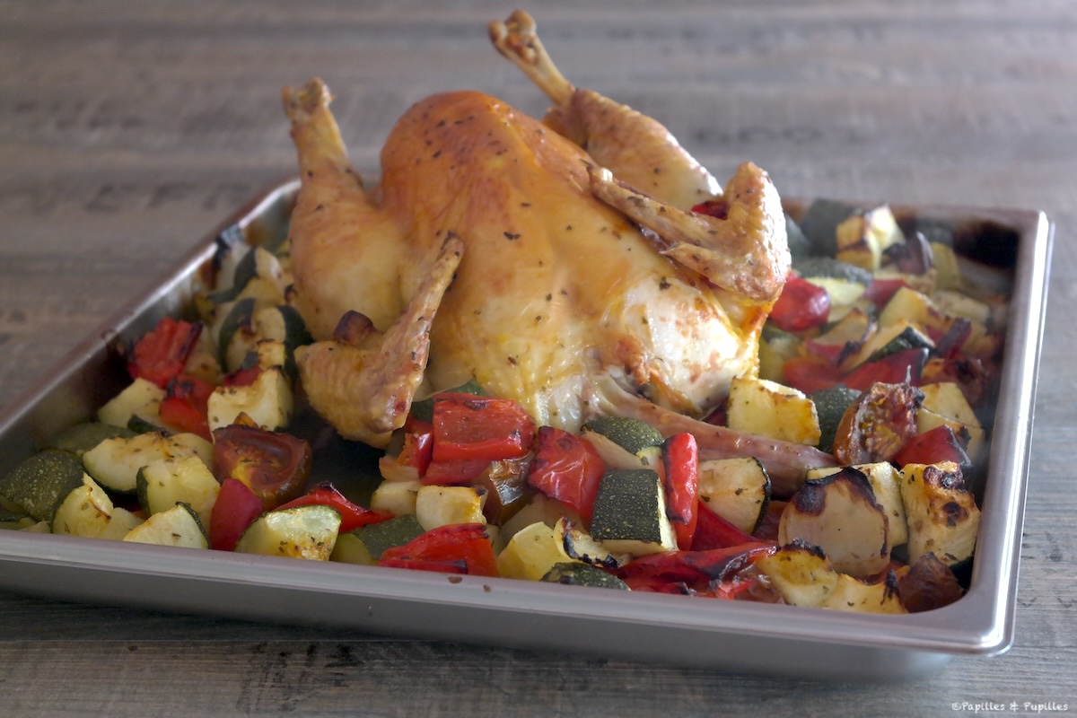 Poulet aux légumes d'été