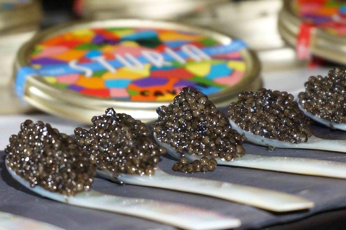 Caviar Sturia ©Ed Morita