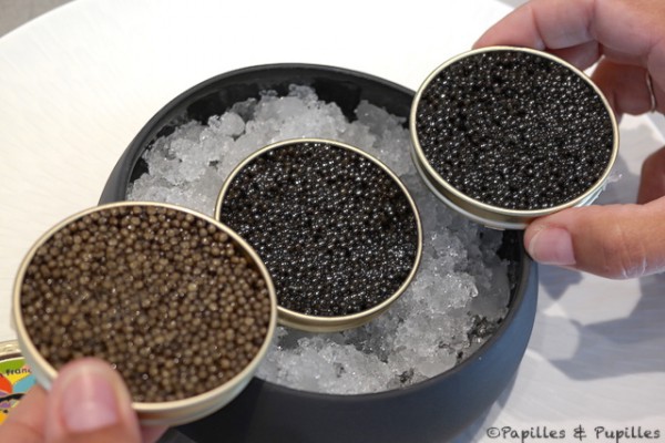 Caviar : Différentes tailles et couleurs