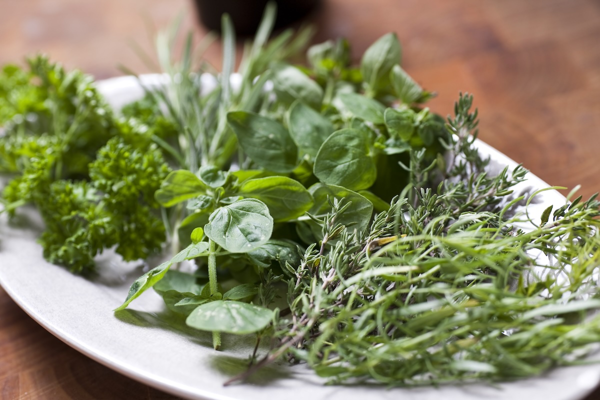 Herbes aromatiques (c) Multiart shutterstock