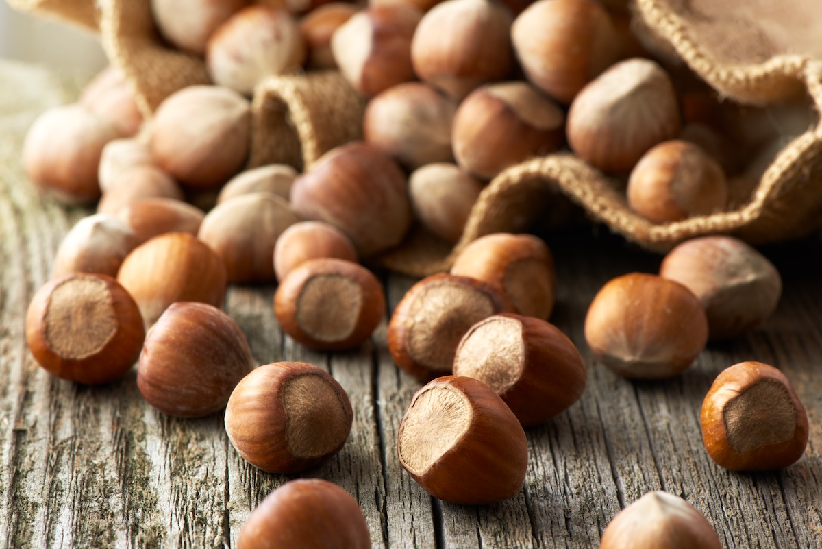 Noisettes ©Vitaliy Netiaga shutterstock
