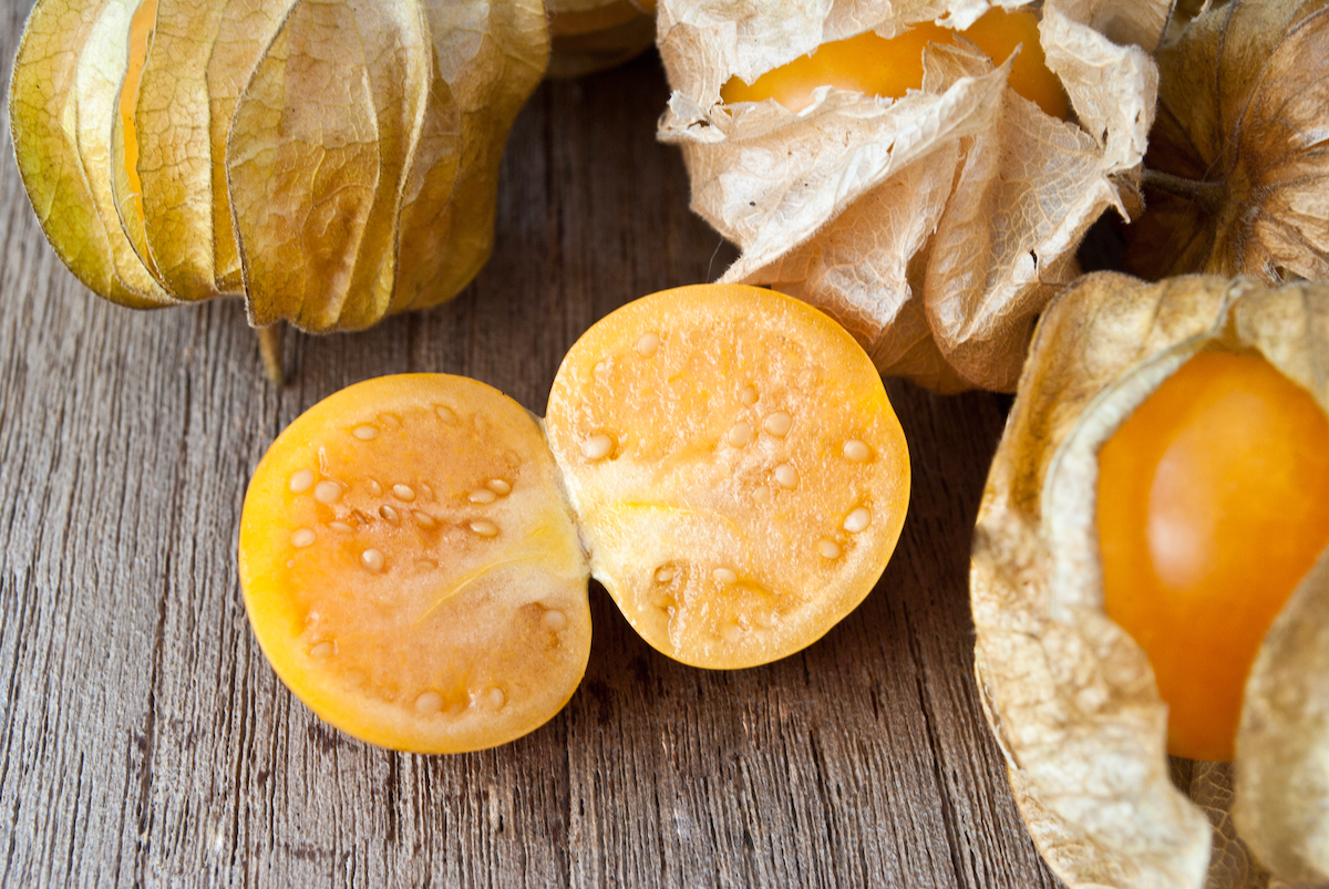 Physalis ©TKGG Shutterstock