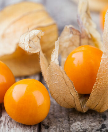 Physalis ©Gresei Shutterstock