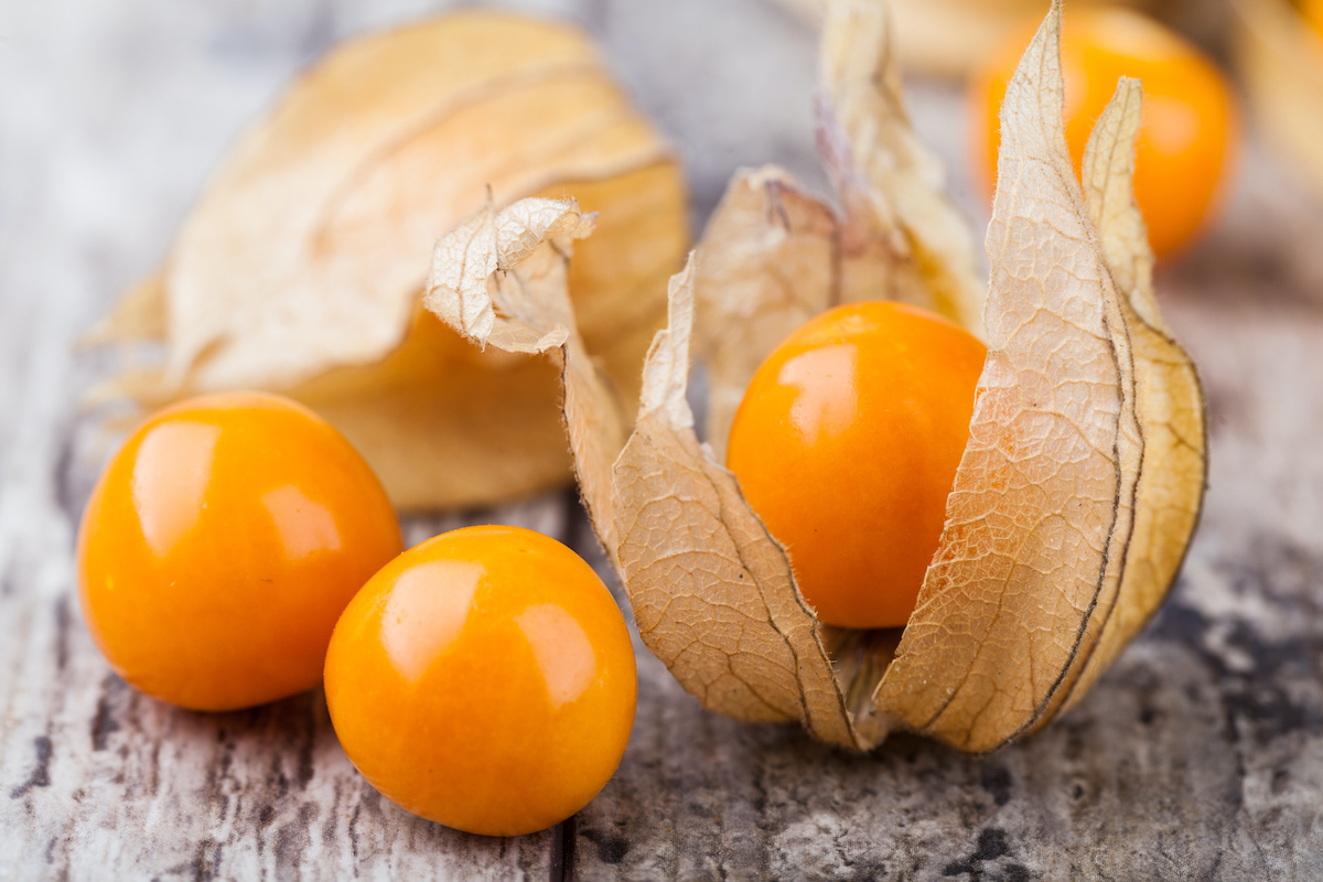 Physalis ©Gresei Shutterstock