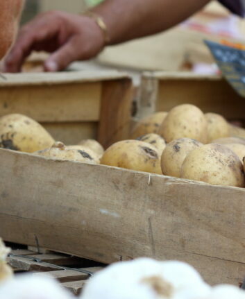 Pommes de terre