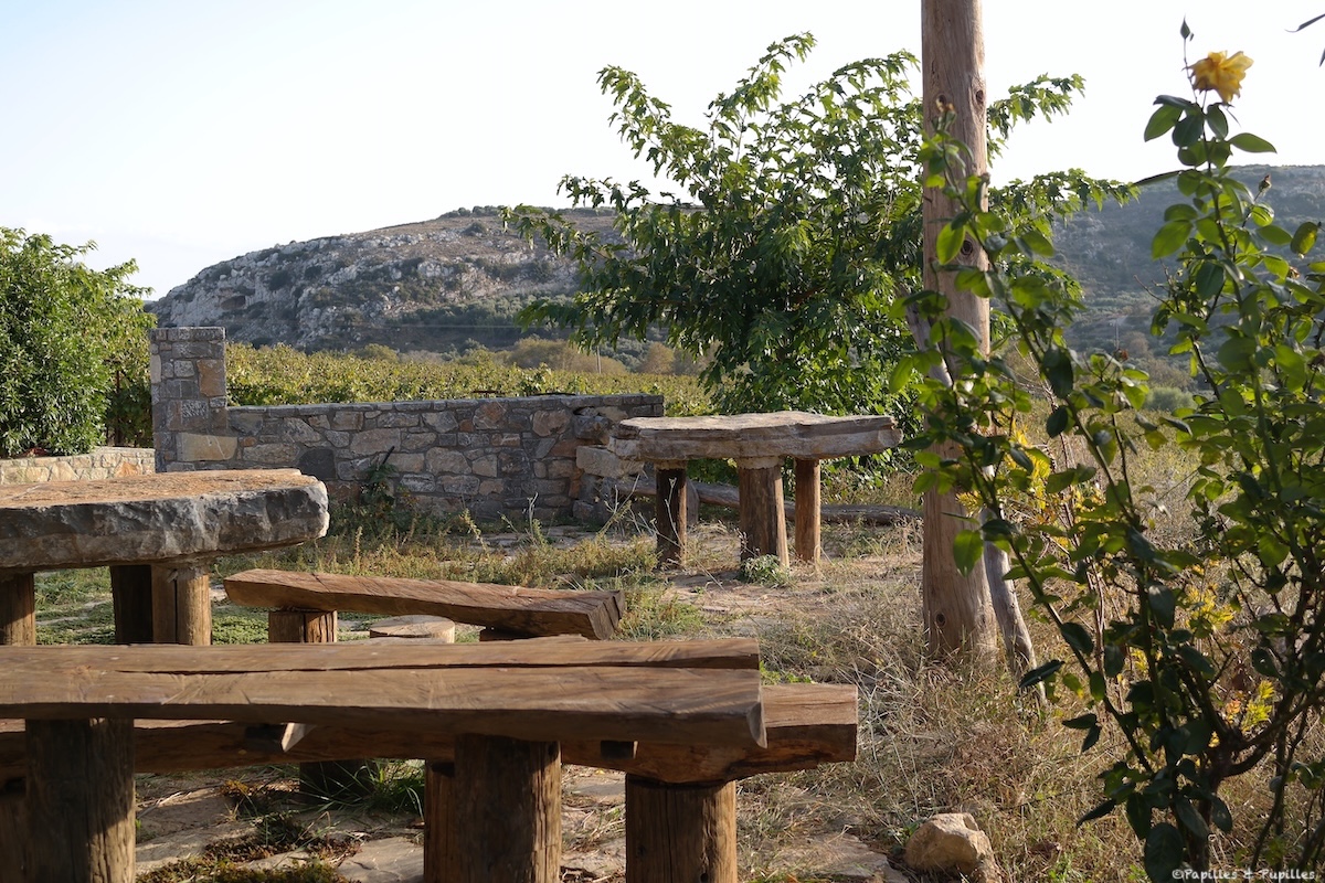 Clos Miliarakis - Dégustations de vins dans le vignoble