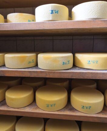 Fromage Tolminc © Xseon Shutterstock