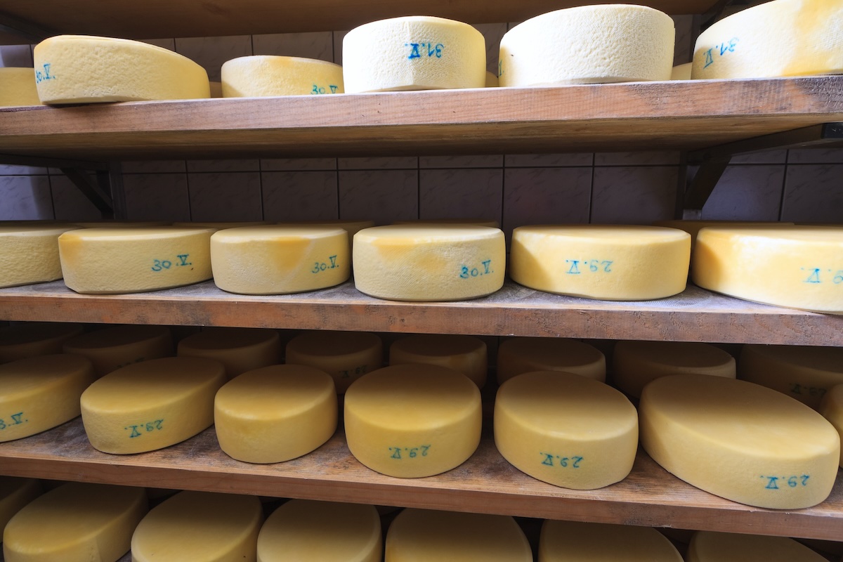 Fromage Tolminc © Xseon Shutterstock