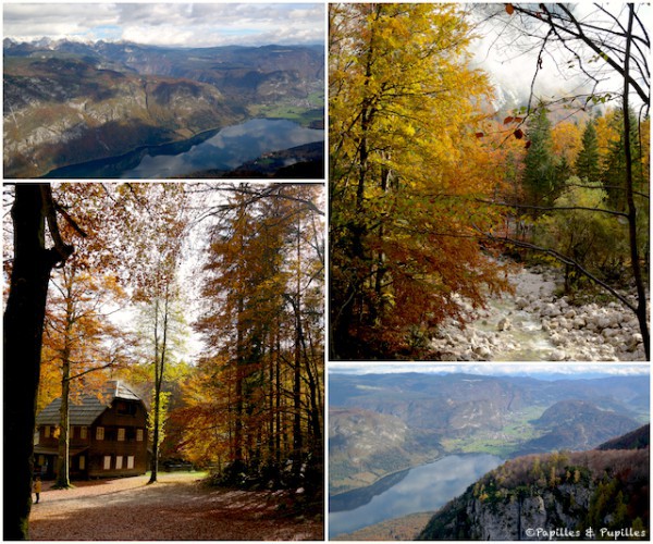 Les couleurs d'automne en Slovénie