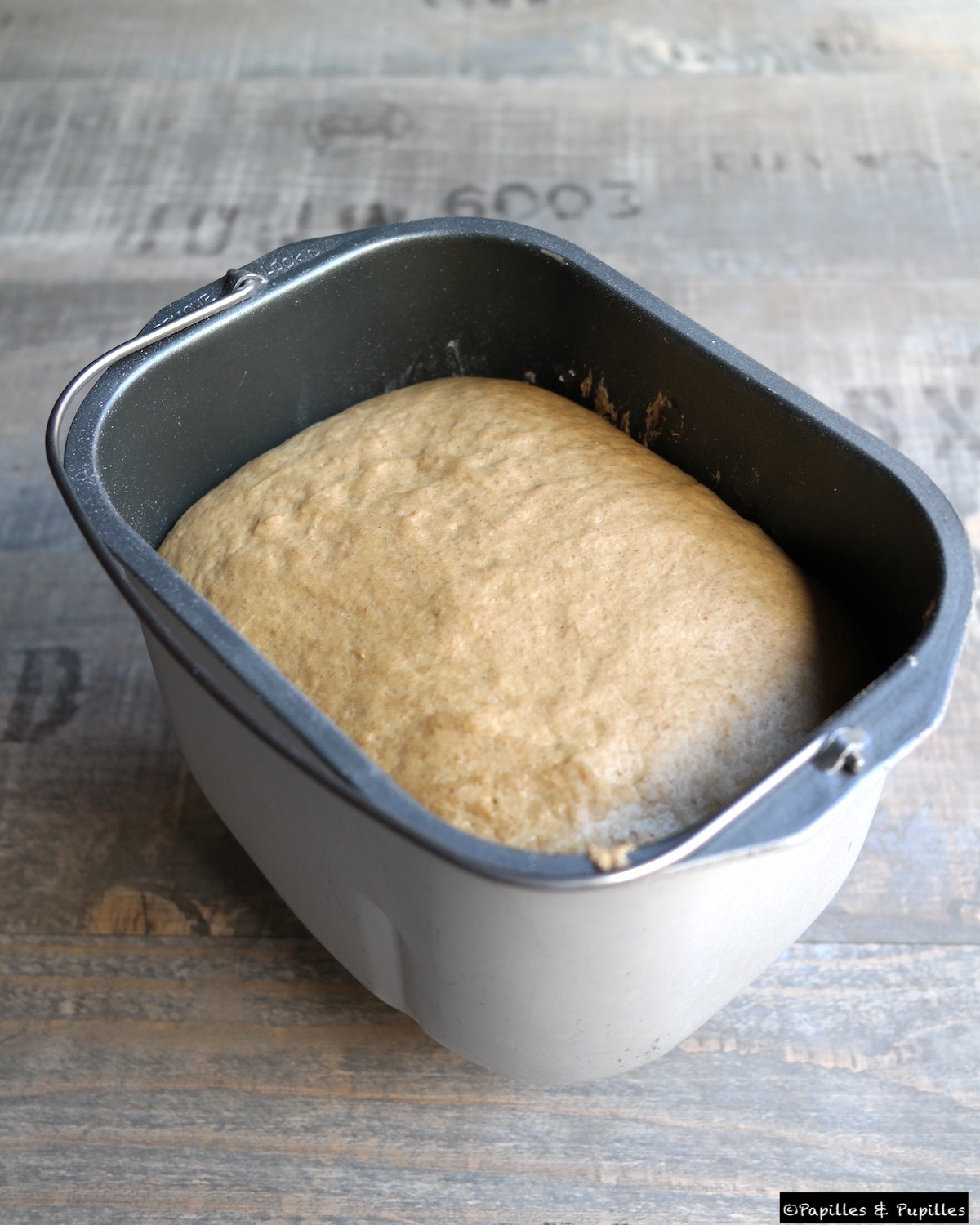 Pâton après première levée