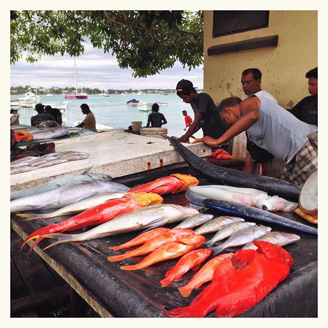 Marché aux poissons - Grand Baie