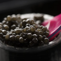 Caviar ©Sturia