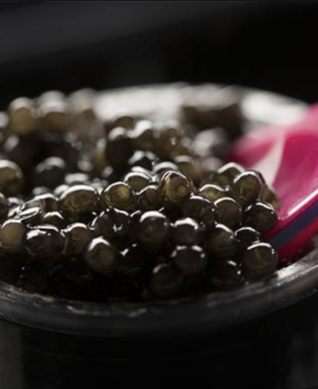 Caviar ©Sturia