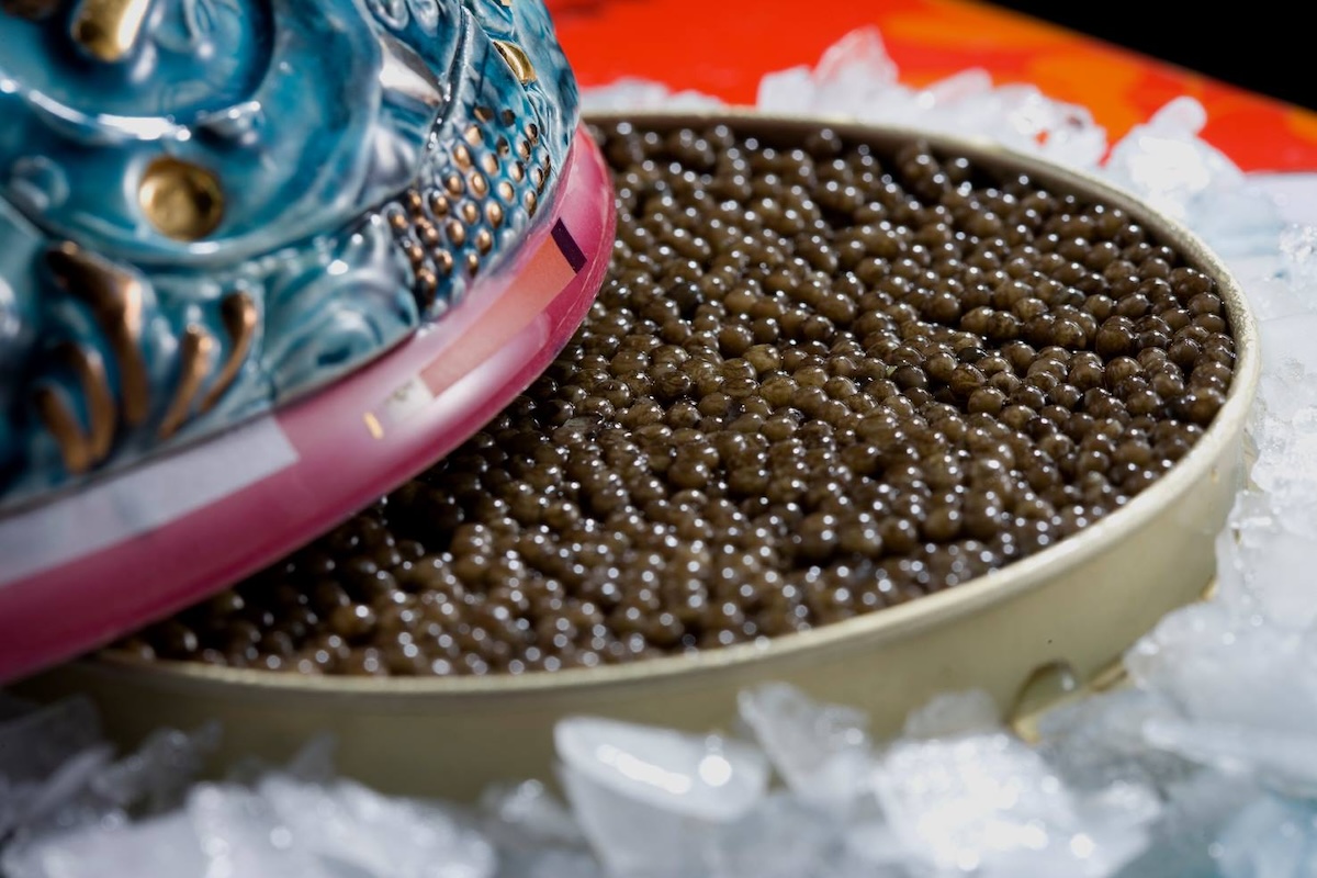Caviar sur glace