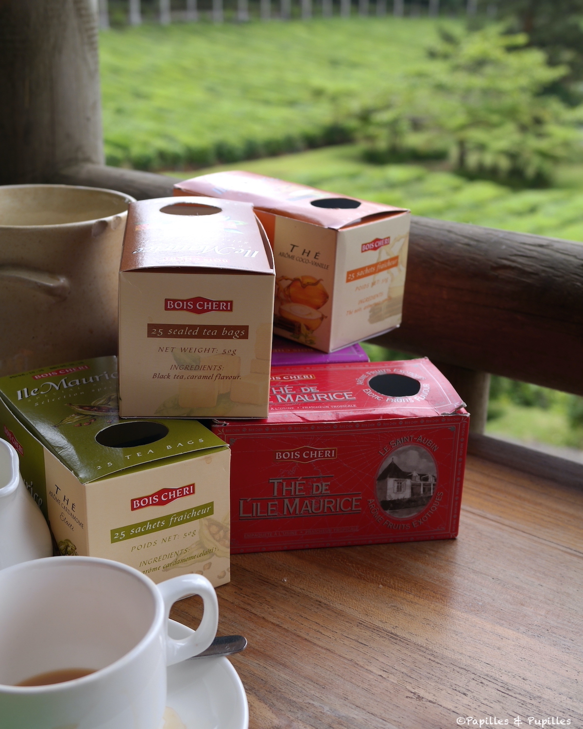 Dégustation de thés