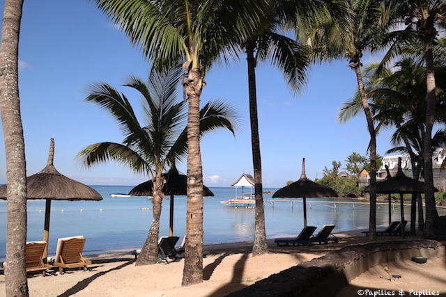 Ravenala - Baie des Tortues