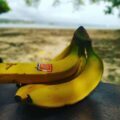Banane de Martinique