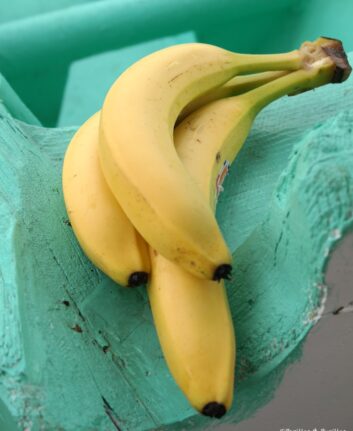Bananes de Martinique
