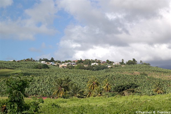 Habitation Belfort - Lamentin - Martinique