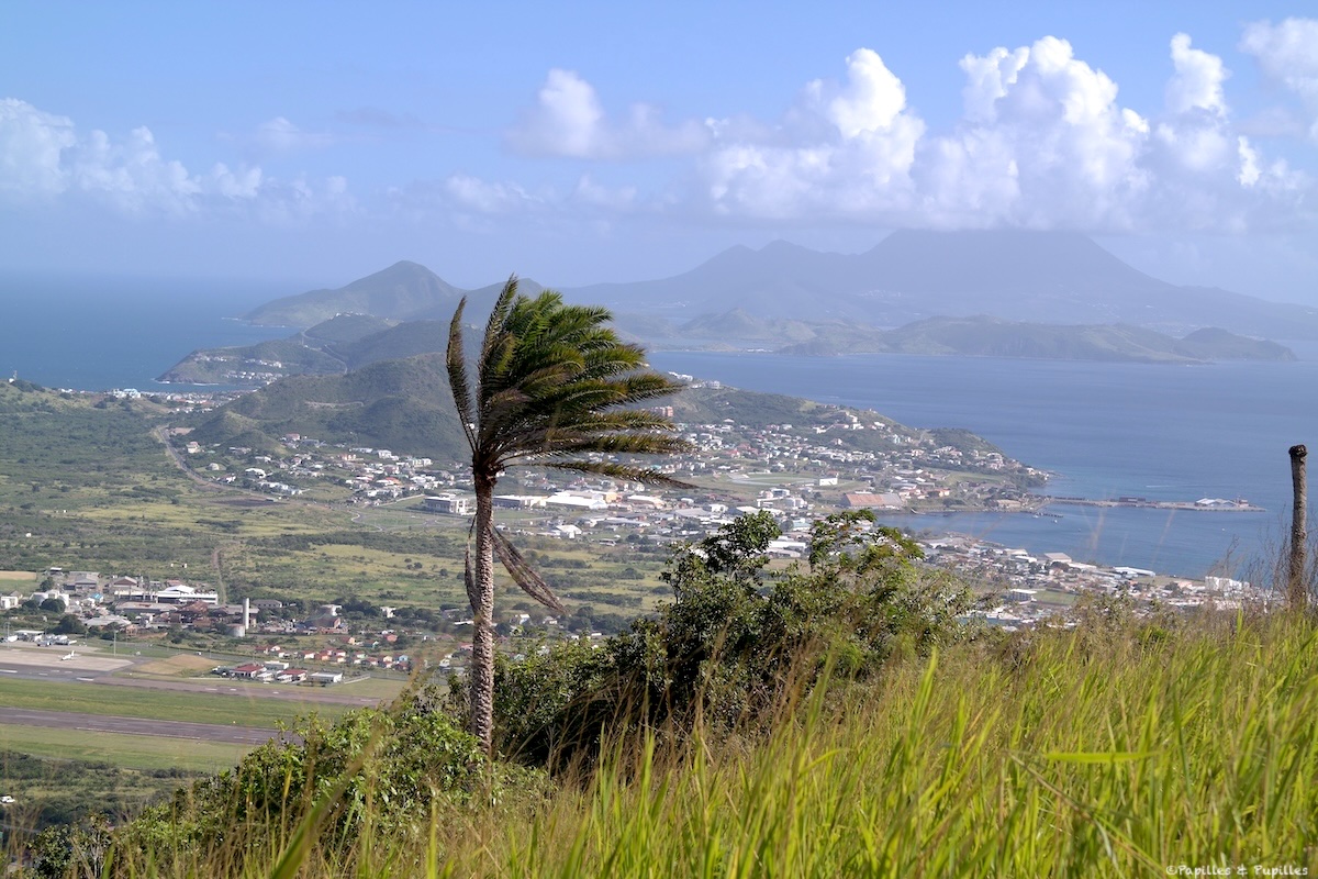 Saint Kitts & Nevis