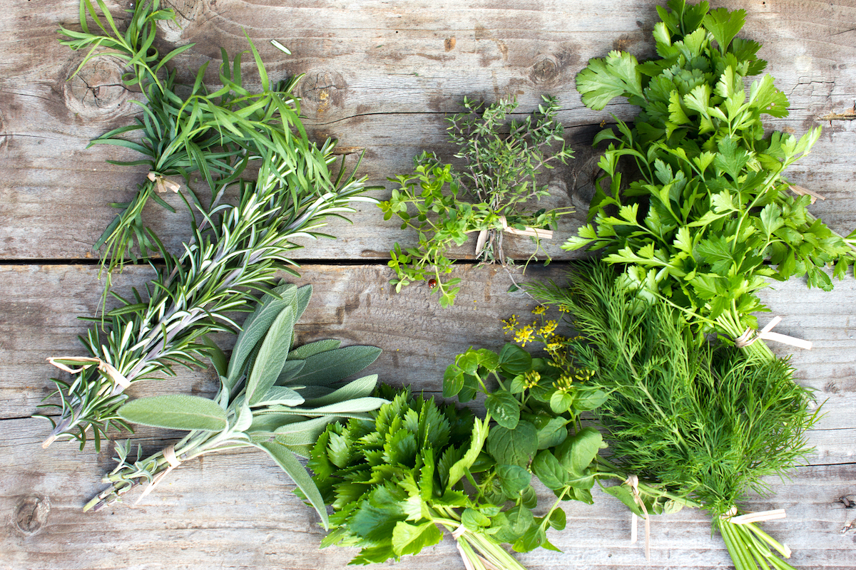 Herbes fraîches