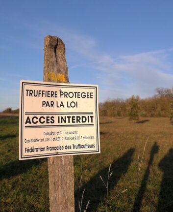 Truffière
