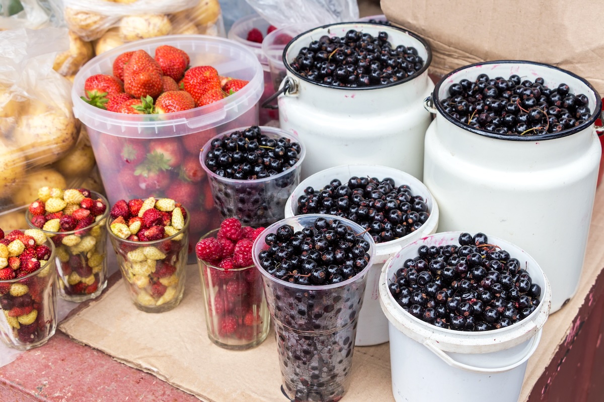 Baies et petits fruits 