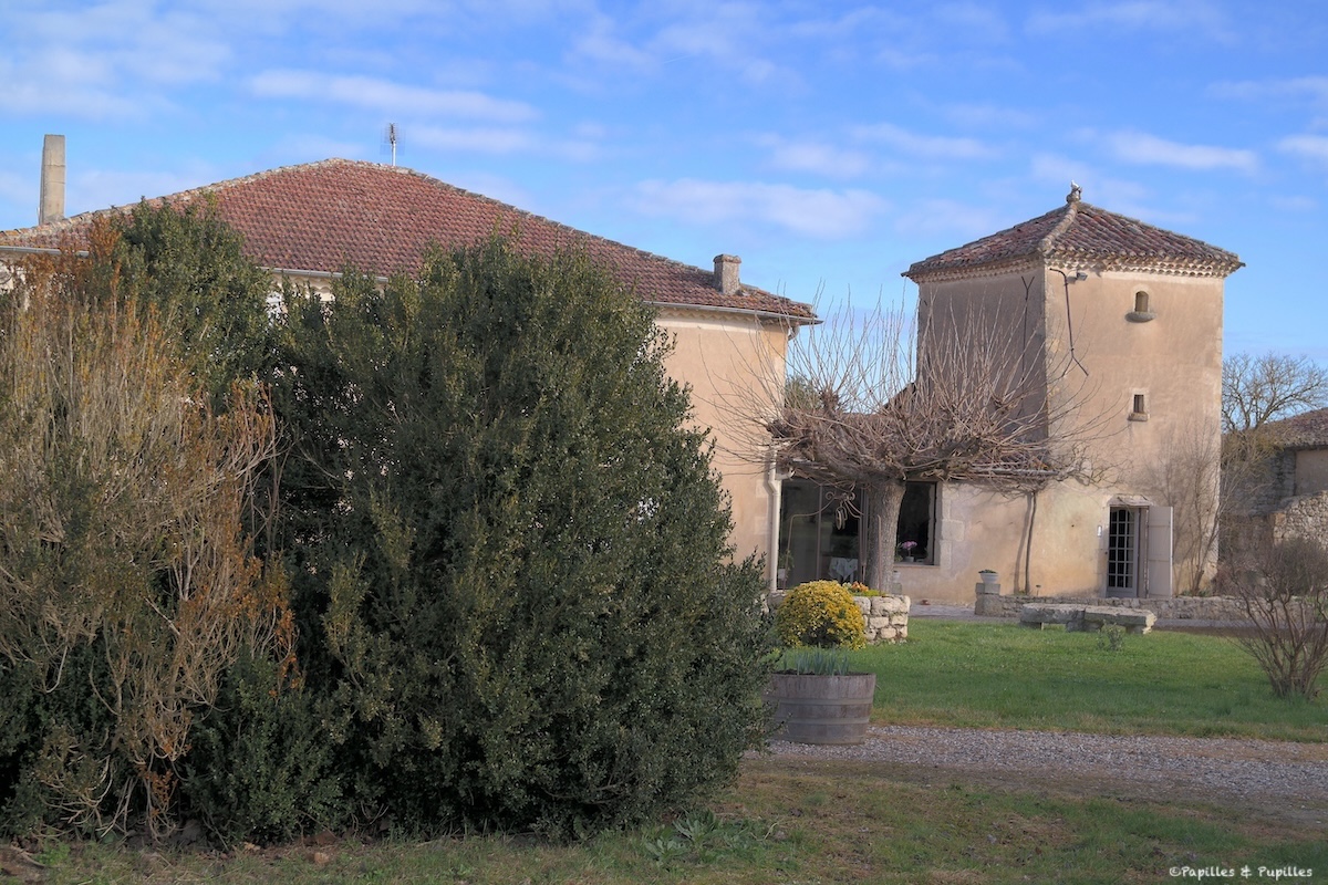 Domaine Terre Blanche