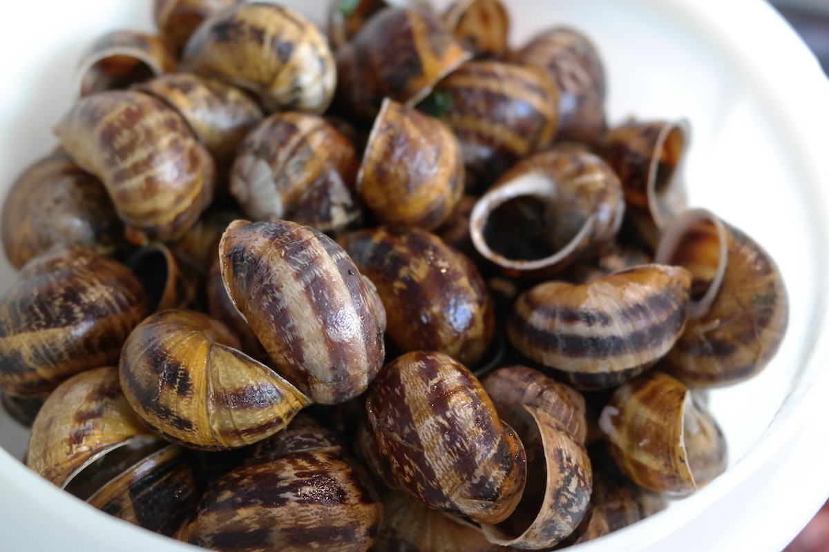 24 chairs d'escargots court-bouillonnées - C'est fait dans l'Eure