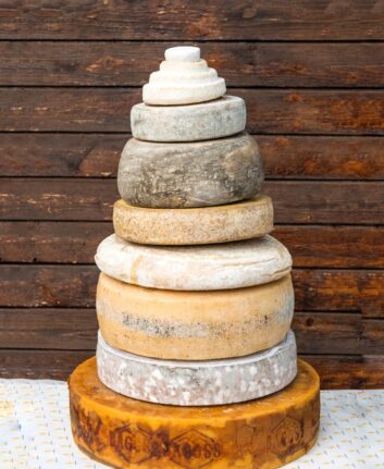 Fromage (c) Andrea Chiesa shutterstock