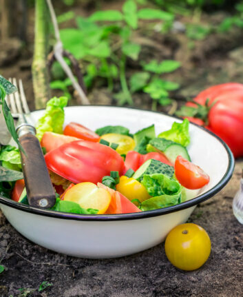 Fresh,Vegetables,In,Garden