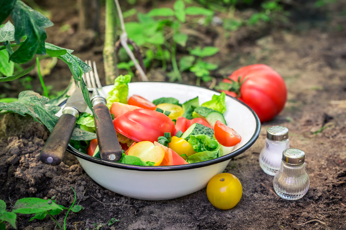 Fresh,Vegetables,In,Garden