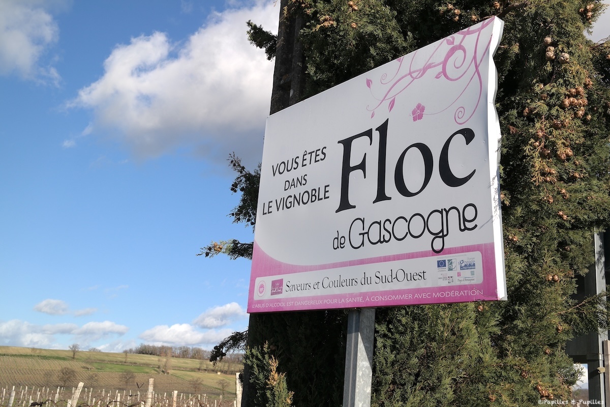 Vignoble - Floc de Gascogne