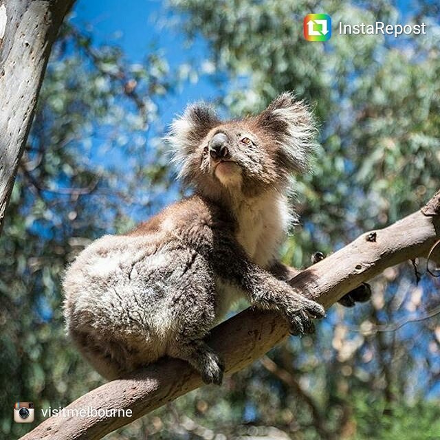 En route pour 30 heures de voyage