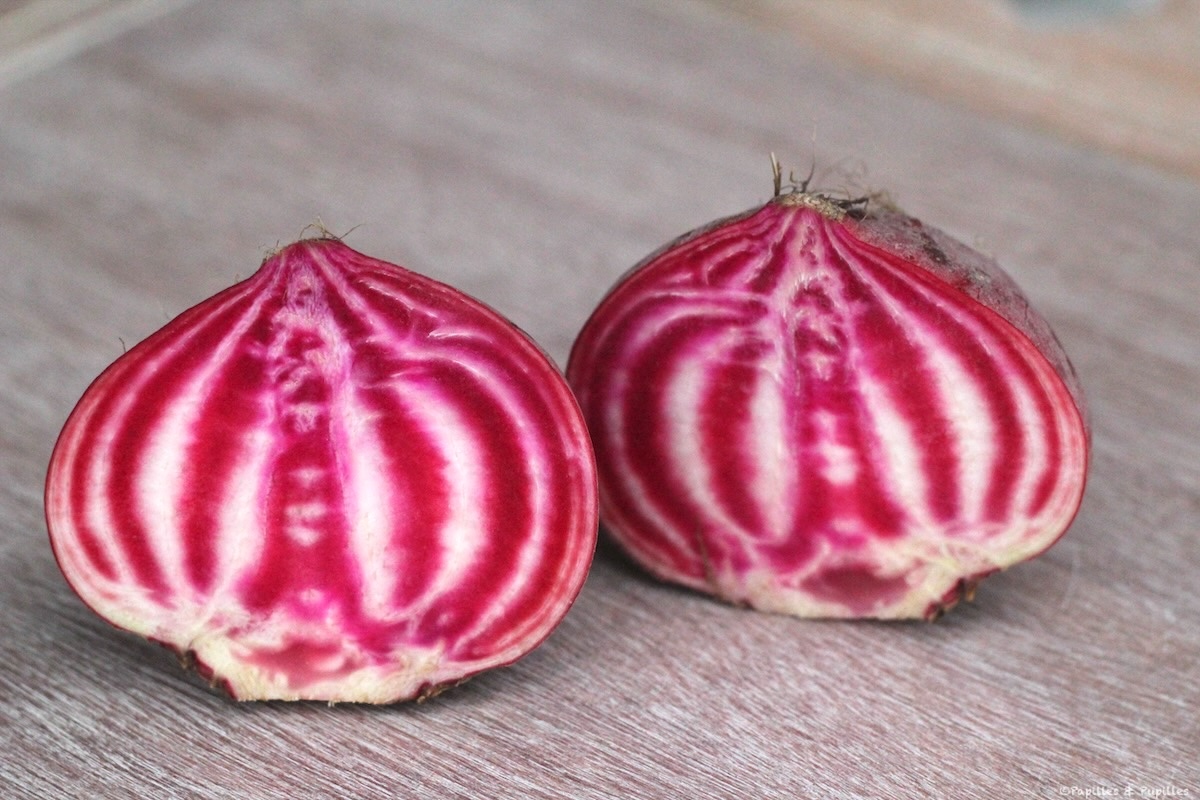 Betteraves Chioggia