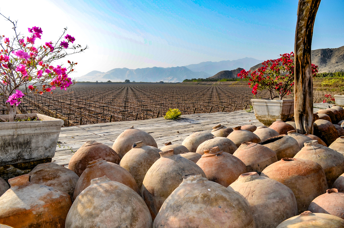 Vignes - Production de Pisco - Pérou ©marktucan shutterstock