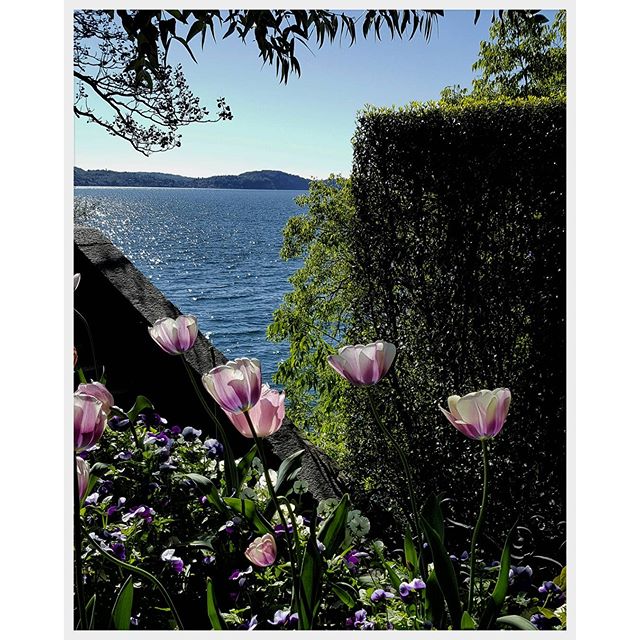 Isola Madre, Lac majeur