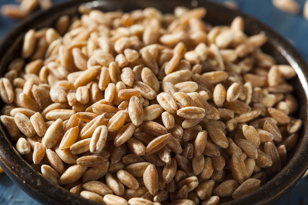 Farro (c) Brent Hofacker shutterstock