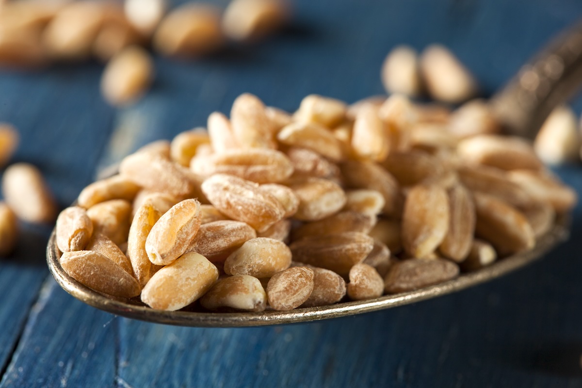 Farro (c) Brent Hofacker shutterstock