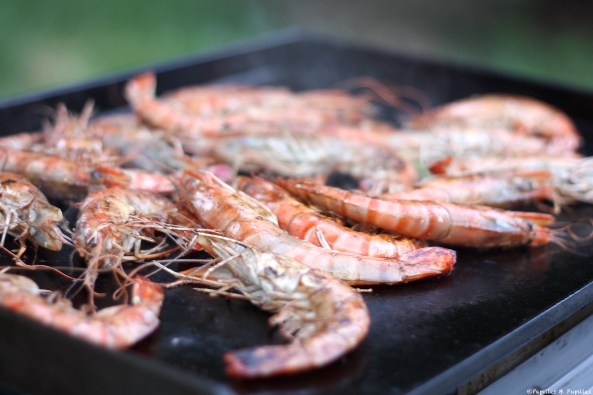 Voici mes coonseils pour bien cuisiner à la plancha